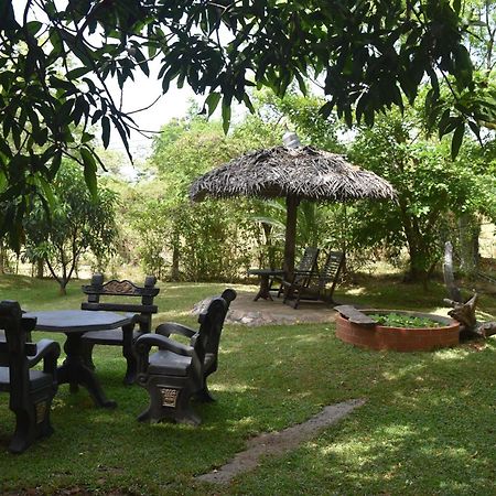 سيغيرِيا Sigiri Dilu Villa المظهر الخارجي الصورة